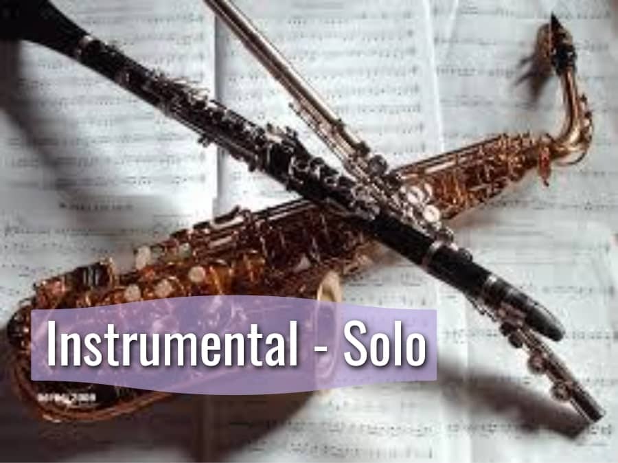 Solo - Instrumental Archives | Snowflower Music